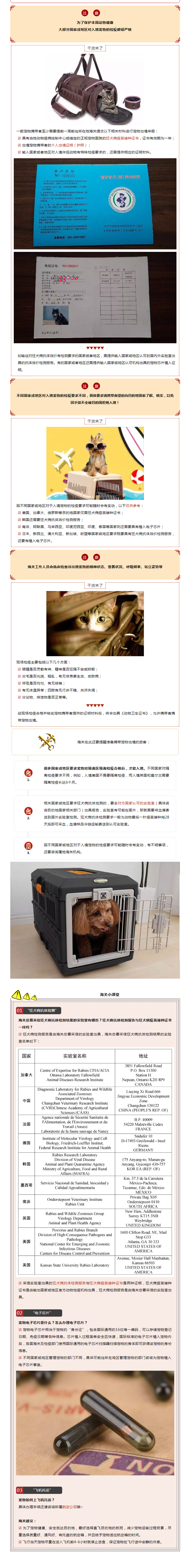 手把手教你如何攜帶寵物出境